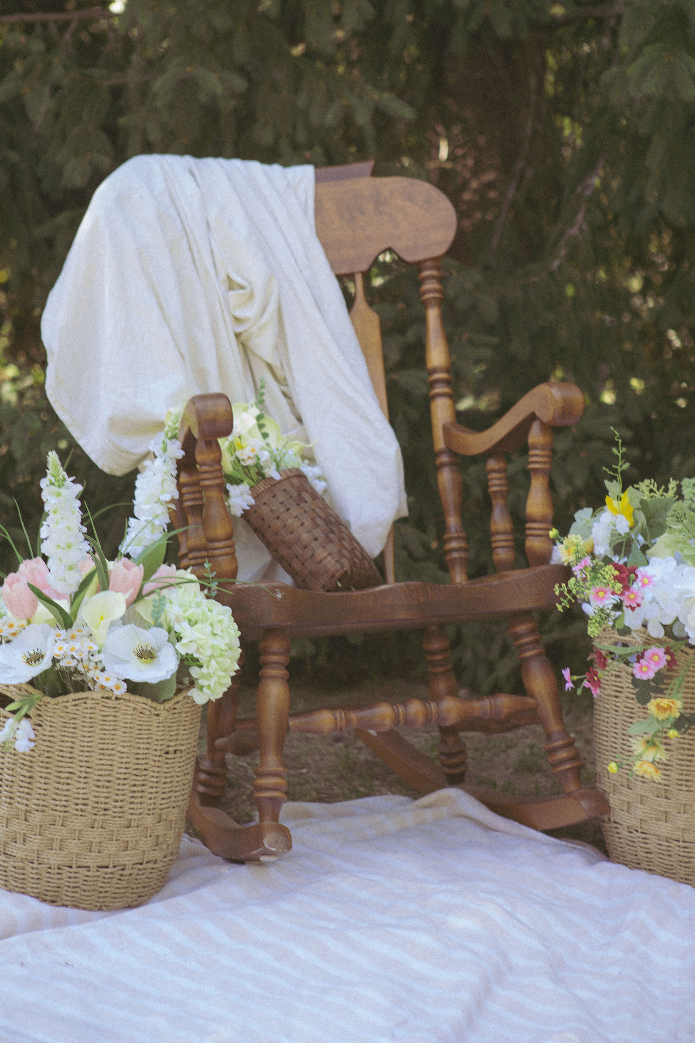 Styled botanical photo scene at Root & Rise